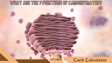 What Are the 7 Functions of Carbohydrates