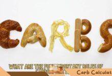 What Are the Four Important Roles of Carbohydrates